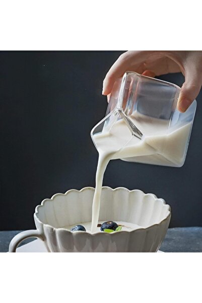 EVİST Şeffaf Cam Bardak Kupa Dökücü, Süt, Kahve Temizlemesi Kolay, Sağlam Düz...