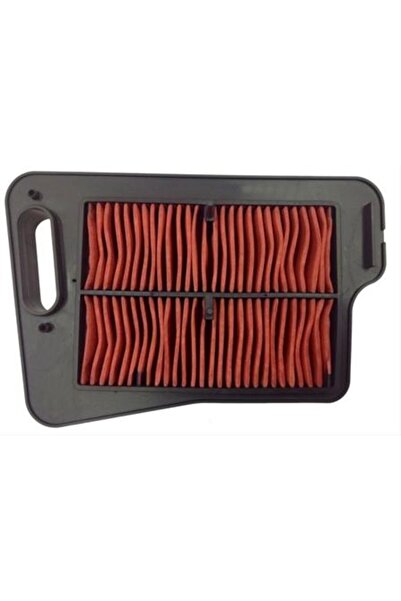 FERODO Filtru de aer moto CAF2401 - Champion, Suzuki AN Burgman