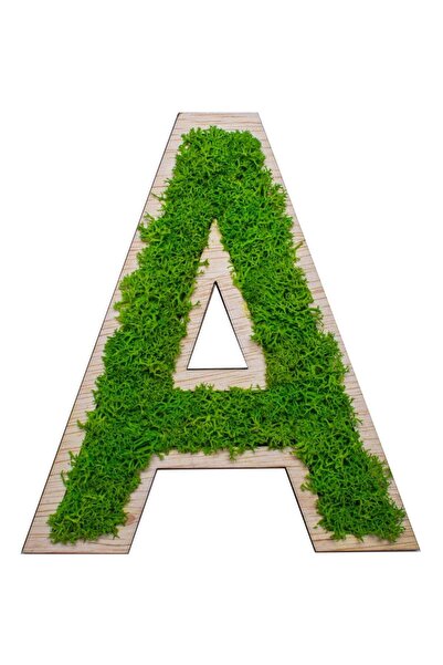 OEM Litera din lemn HH1545 Personalizat cu Licheni - 27x30 cm