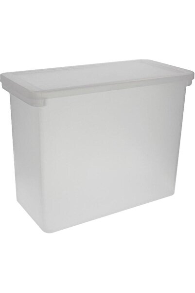 Royal Falcon Document File