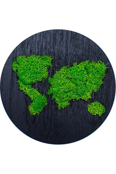 OEM Decor Inconjurul Lumii HH1532 din lemn Personalizat cu Licheni - 35x35 cm