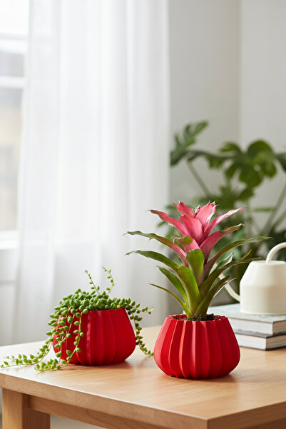 oalpo 2’li Modern Saksı Seti, Dekoratif Saksı, Minimalist Saksı, Kırmızı, 12cm