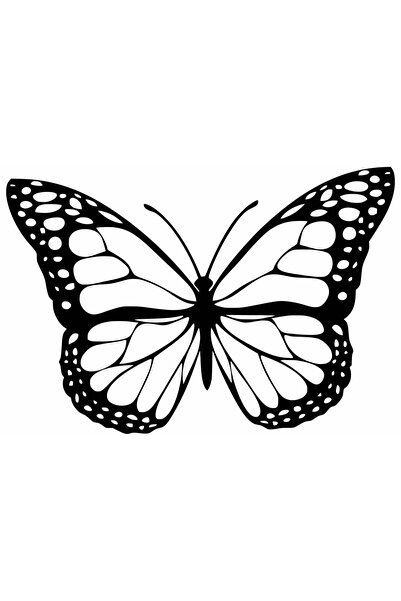 OEM Decor perete Personalizabil Fluture cu Aripile Deschise HHH119 din lemn -...