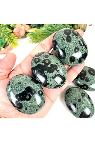 Choice 40-60g kambaba palm 1pc Kambaba Jasper Palm Stone, Kambaba Jasper Smooth Stone