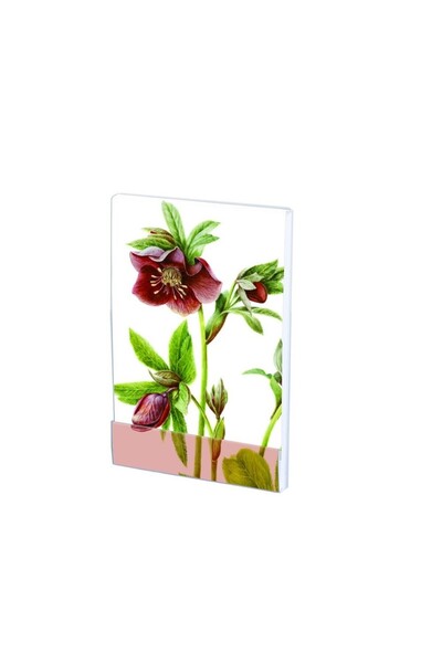 Bekking Carnet notite A7 32 file Helleborus Anita Walsm
