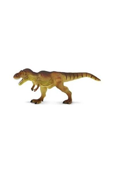 Safari Tyrannosaurus Rex