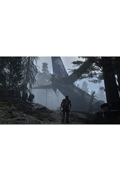 erorex سوني PS4 Day'S Gone (PS4) 711719796916