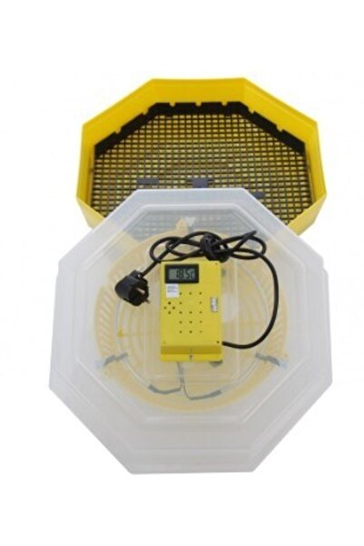 JollyMag Electric incubator with thermometer and thermostat, 60 eggs, CLEO 5T