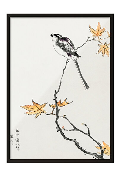 Zestia Tablou cu ramă neagră, model cu pasăre pe creangă, poster decorativ pe...