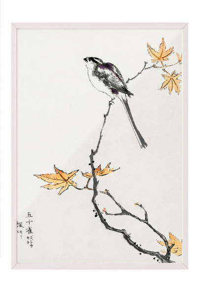 Zestia Πίνακας με λευκό πλαίσιο, Μοτίβο πουλιών σε κλαδί, Διακοσμητική αφίσα ...