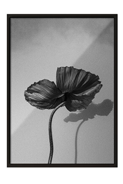 Zestia Tablou înrămat negru, floare de mac minimalistă alb-negru, poster deco...