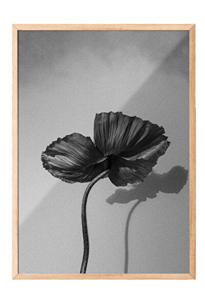 Zestia Tablou cu ramă din lemn, floare de mac minimalistă alb-negru, poster d...