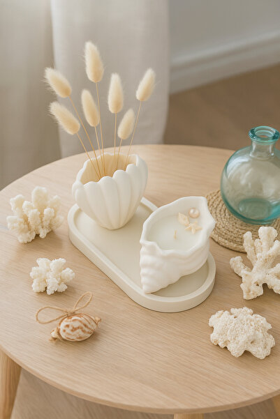 AKANART Studio Set of 3 Sea Shell Objects, Natural Wax Sea Shell Vase