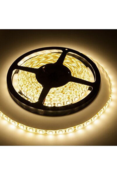 Rebel BANDA LED 5M 300X5050 IP65 ALB CALD