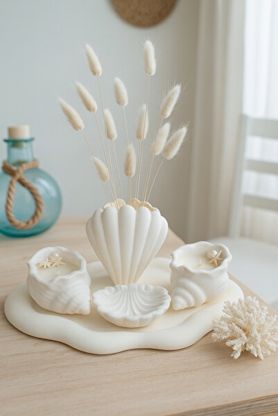 AKANART Studio 5 li Deniz Kabuğu Seti deniz kabuğu vazo,ikili deniz kabuğu mu...