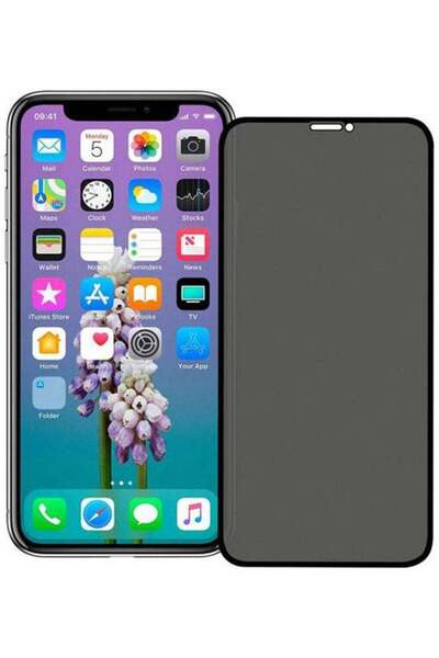 Generic واقي شاشة الخصوصية لأجهزة iPhone X وXS و11 Pro شفاف/أسود