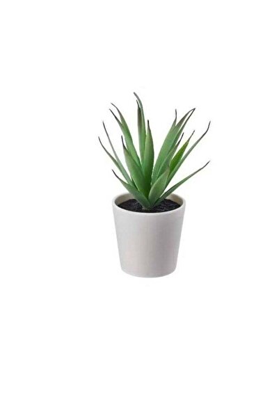 Generic Artificial plant with pot, indoor and outdoor, succulent tree, size 6 cm