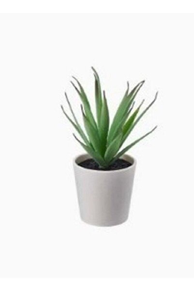 Generic نبات صناعي مع وعاء داخلي خارجي شجرة عصارية 6 سم