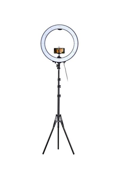 Andoer ضوء حلقي للتصوير الفوتوغرافي قابل للتعتيم باللون الأبيض