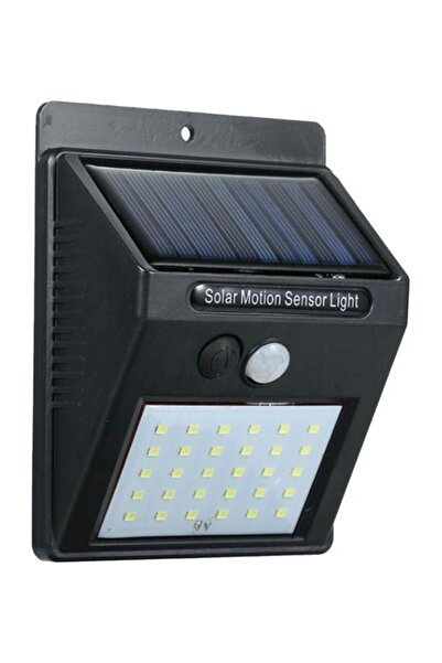 Generic Solar powered wall light with passive infrared sensor and 30 LED lights