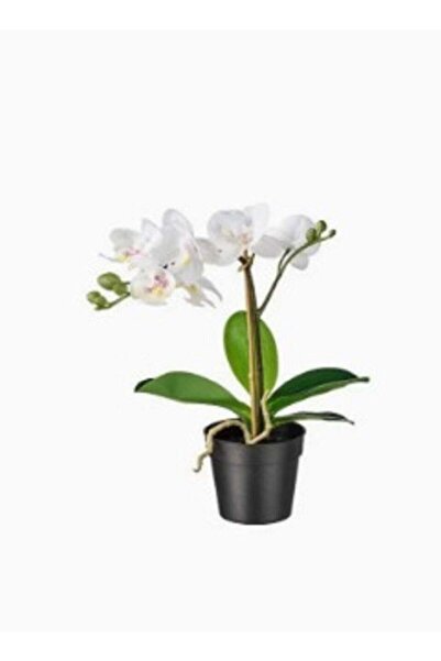 Generic Artificial plant in white orchid pot 9 cm