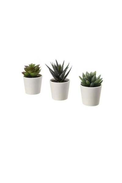 Generic Artificial plant with pot, indoor outdoor succulent tree, 6 cm in siz...