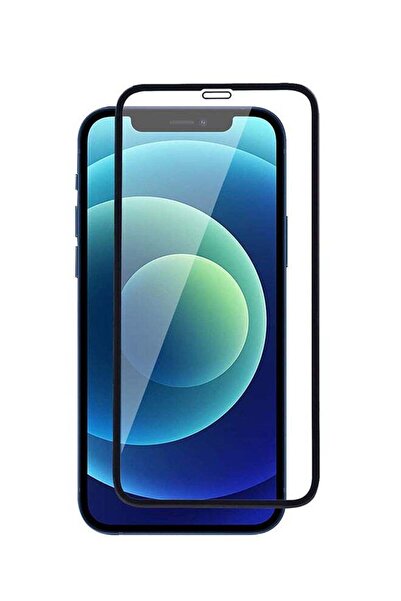 Theodor Tempered Glass Screen Protector For Apple iPhone 12 Pro Black