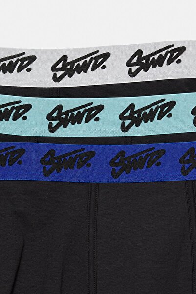 Pull & Bear 3'lü STWD logolu boxer paketi