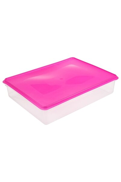 AAA Transparent Food Container with Fuchsia Lid 6L
