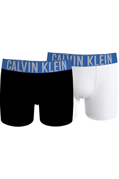 Calvin Klein 2PK BOXER BRIEF Erkek Siyah Boxer Set