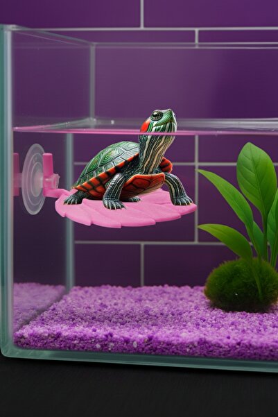 MD×JOA Ayarlarlanabilir Kaplumbaga Dinlenme Alanı ⸙ M BOY PEMBE ⸙ Kaplumbaga ...