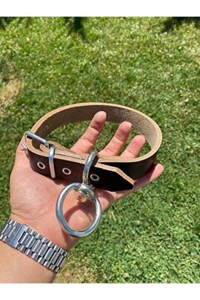 Sürmeli Tasma Küçük ve Orta Irk Hakiki Deri Köpek Tasması 60 Cm