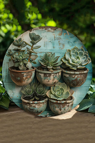 kutuTR Sukulent Saksı Tasarımlı UV Baskı 3D GÜRÜNÜMLÜ MDF Duvar Süsü – 33x33 ...