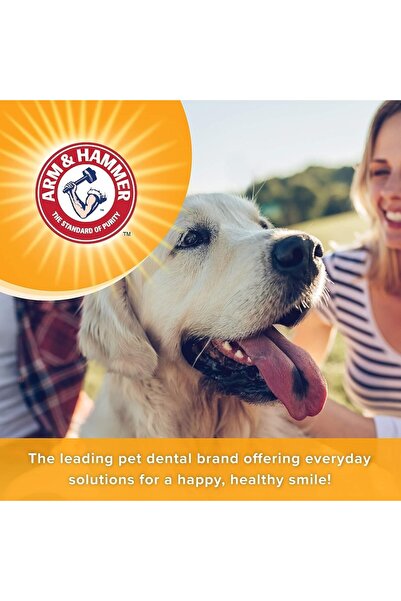 Arm&Hammer Chewable Tablets, Arm & Hammer, Tartar Control, Mint and Beef Flavor, 40 pcs