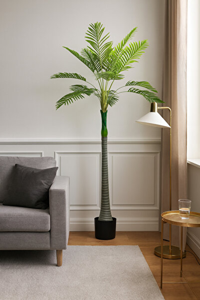 DRAMA HOME شجرة نخيل صناعية 200 سم مع إناء أنيق – شجرة ديكور تحاكي الطبيعة لل...