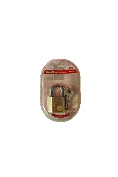 ForWhat 30mm Hanging Chrome Lock for Office Workplace Home Garden Door Shutter