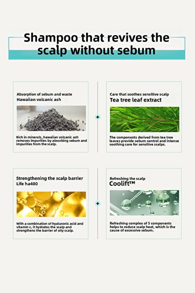 DR BANGGIWON Sebum Balancing Oil Hair Shampoo - No Sebum 1000 ml