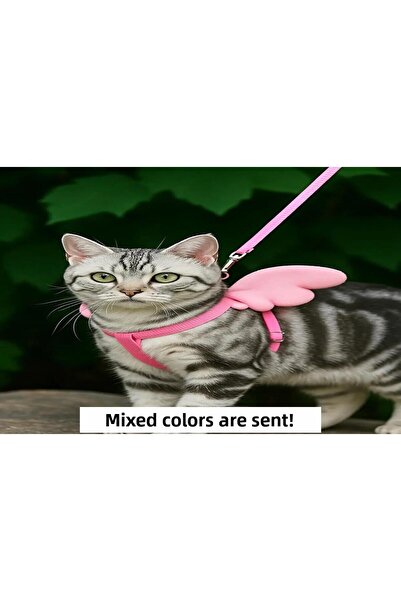 AlaPet Angel Cat Collar (Cat and Kitten) Travel Collar Mixed Color