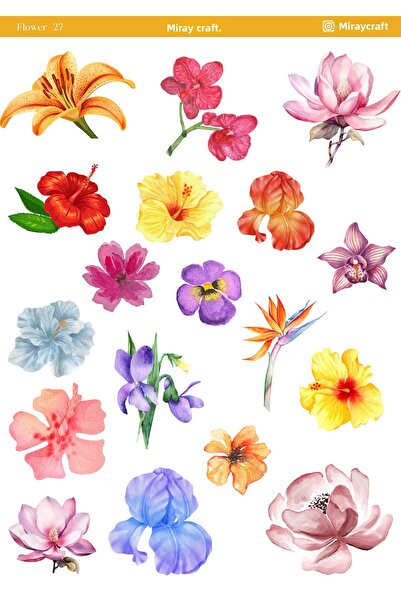 MirayDesign 1 ورقة ملصقات ذات طابع زهور مقاس 12*17 سم / سكرابوك، مجلة بوليت، مخطط، دفتر ملاحظات
