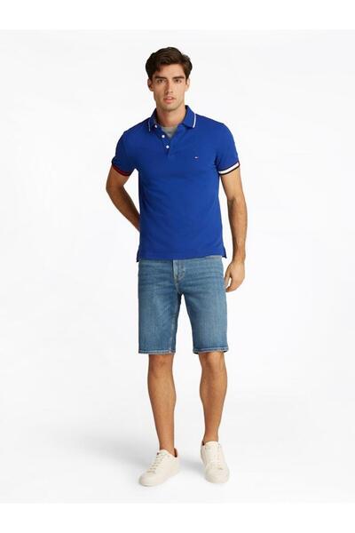 Tommy Hilfiger Ανδρικό Πόλο MW0MW38458 Πολύχρωμο