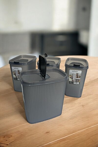 Hesaplı Kasa Food Storage Container 2.5 Lt, Anthracite, Set of 4