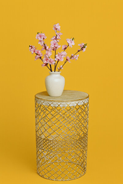 VENON Home Metal Modern Sehpa (250X480) Krem Sarı Patine