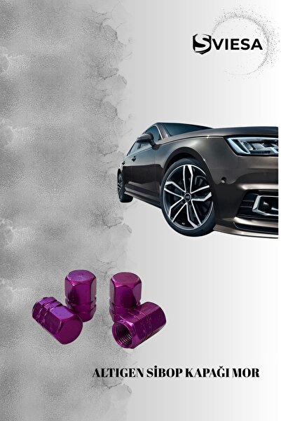 Sviesa غطاء صمام معدني سداسي 4 قطع