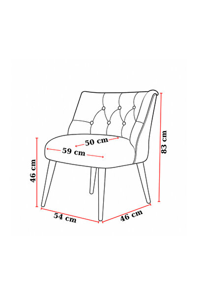 Azra Mobilya Modern Kapitoneli Deri Berjer Sandalye – Ahşap Ayaklı, Demonte Gönderim, Renk Seçenekli