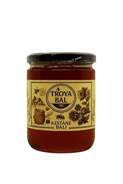 TROYA ARICILIK GIDA Troya Kestane Balı 850 g