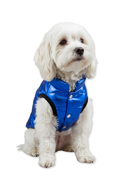 Oli and Lui SAX BLUE - Dog Colored Coat