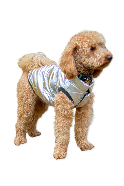 Oli and Lui Silver Colored Dog Patterned Coat