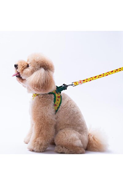Pawstar Watermelon Leash Watermelon Patterned Cat Dog Walking & Traveling Strap Dog Extension Leash