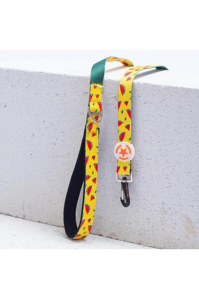 Pawstar Watermelon Leash Watermelon Patterned Cat Dog Walking & Traveling Strap Dog Extension Leash