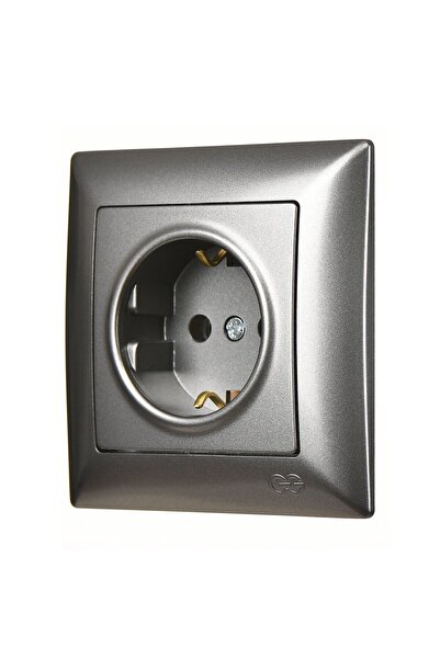 Günsan Visage Füme Topraklı Priz